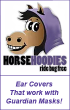 HorseHoodie